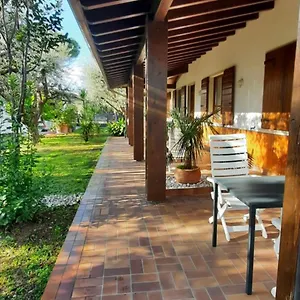 elisa-holidays-apartments.it-lombardy.com/